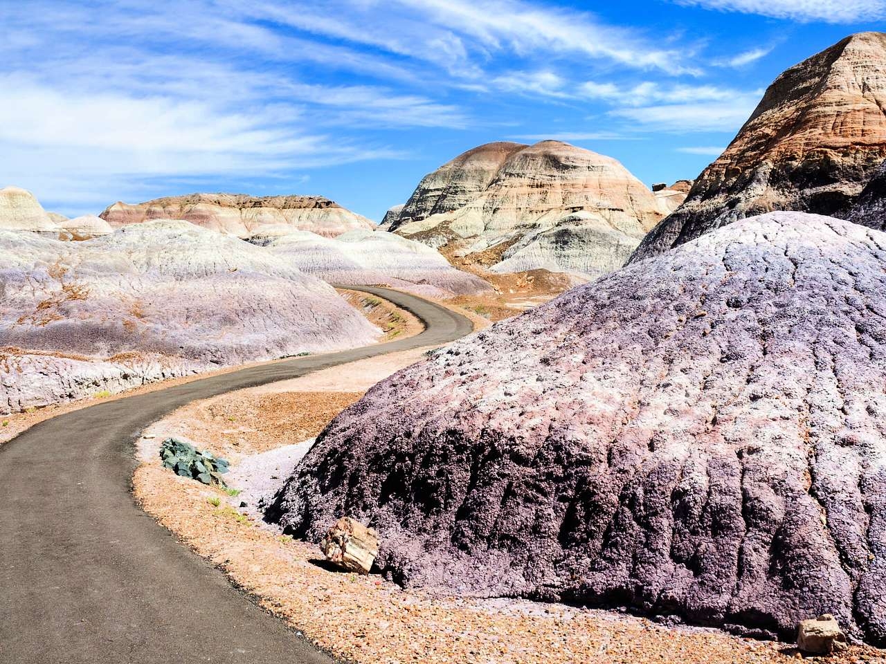 9 Nicknames For Arizona State That Will Surprise You
