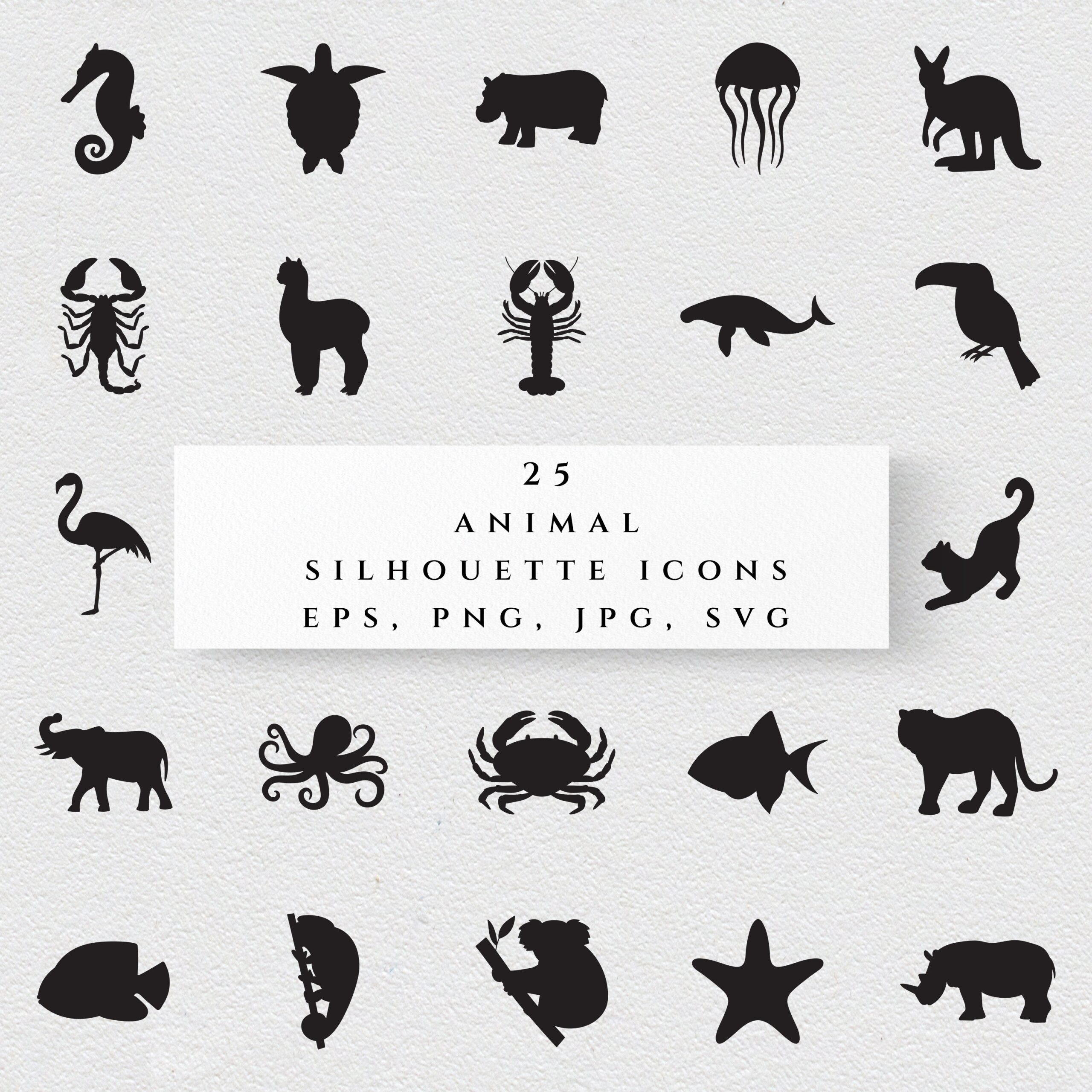 Animal Silhouette Set Svg seaworld Icons Png jungle Animal Clipart zoo Illustration EPS Etsy