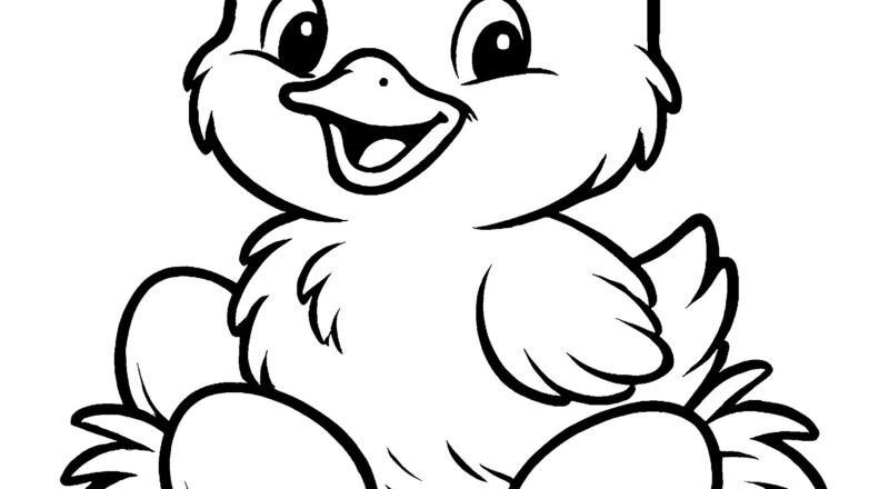 Dibujos Para Colorear Para Ni os De Pollo P ginas De Pollo Para Imprimir