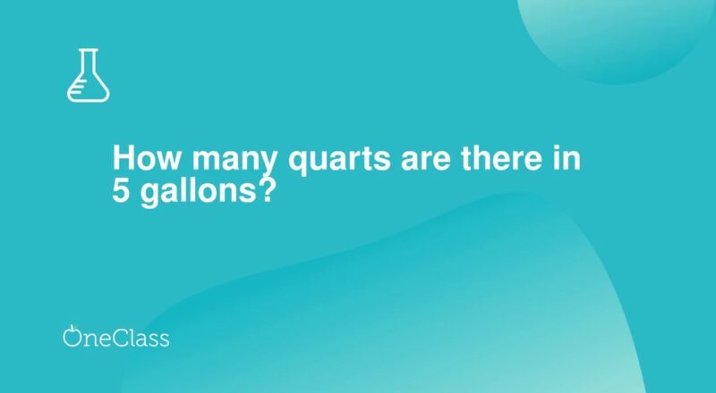 How Many Quarts Are There In 5 Gallons YouTube