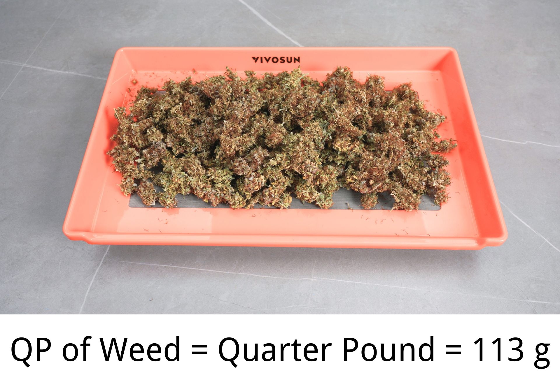 How Much Is A QP Understanding The Cost And Measurement Of Weed Vivosun How Much Is A QP Understanding The Cost And Measurement Of Weed Vivosun
