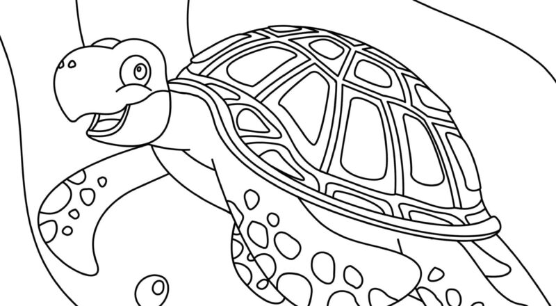 Turtle Coloring Pages Free Printable Sheets For Kids Skip To My Lou