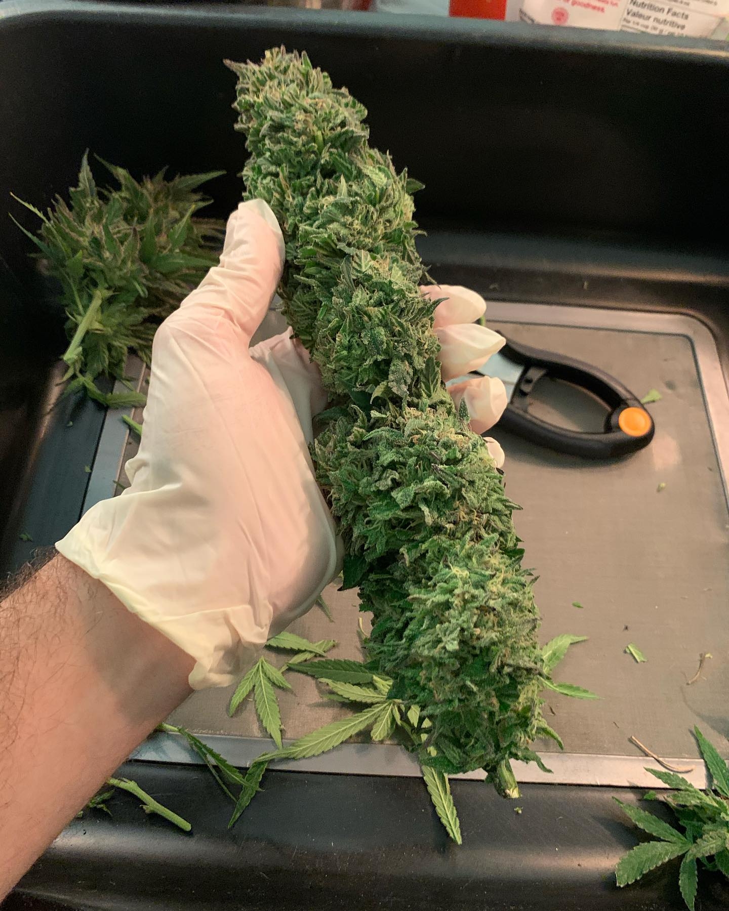 how many ounces in a quarter pound how many ounces in a quarter pound